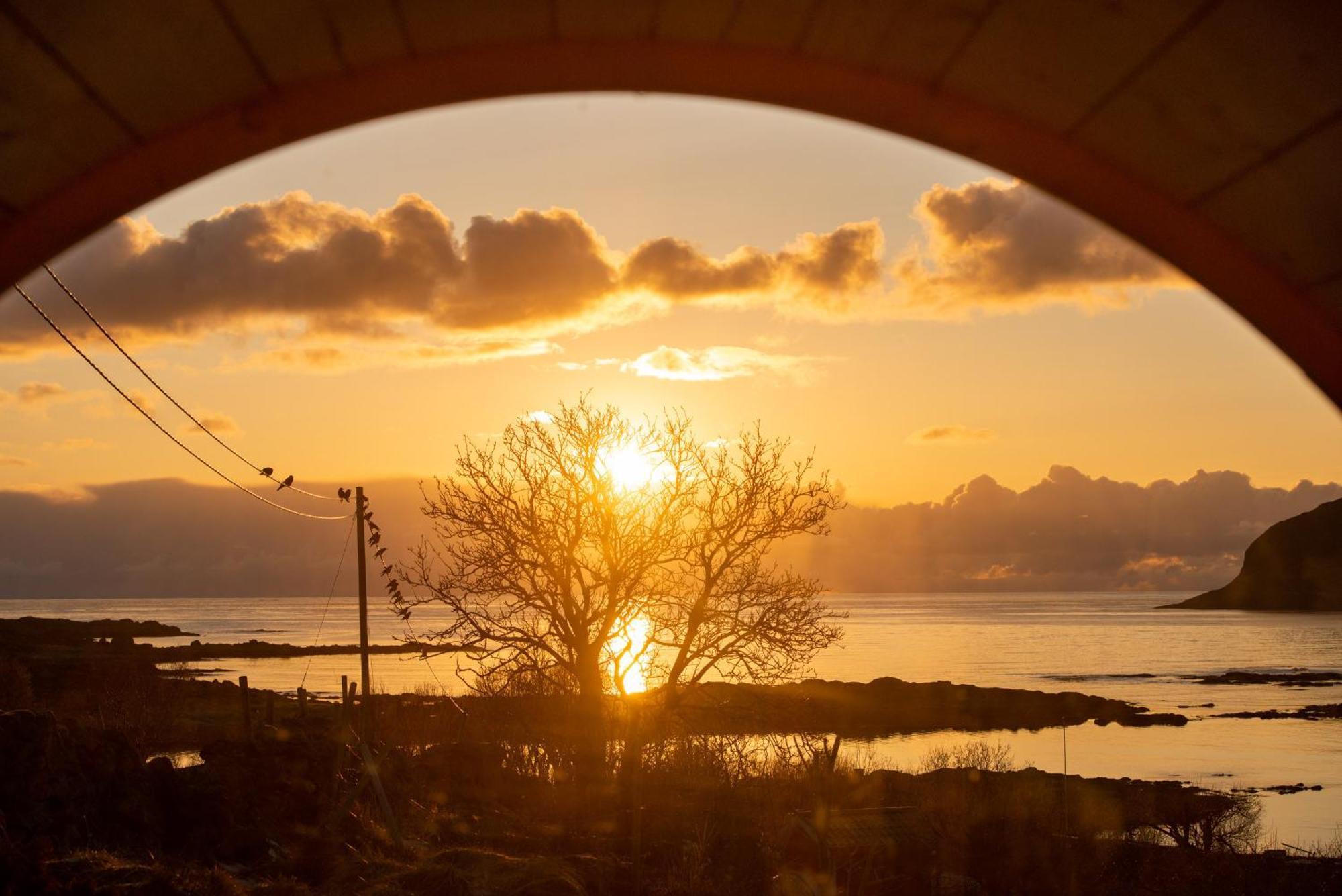 Haukland Beach Panorama Offersoya Dış mekan fotoğraf